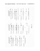 siRNA targeting TATA box binding protein (TBP)-associated factor (TAF1) diagram and image