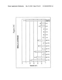 siRNA targeting TATA box binding protein (TBP)-associated factor (TAF1) diagram and image