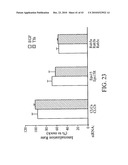 siRNA targeting TATA box binding protein (TBP)-associated factor (TAF1) diagram and image