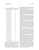 siRNA targeting TATA box binding protein (TBP)-associated factor (TAF1) diagram and image