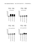 CHIMERIC POLYPEPTIDES AND USES THEREOF diagram and image