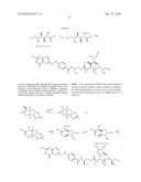 CONJUGATES CONTAINING HYDROPHILIC SPACER LINKERS diagram and image