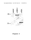 Inhibitors of PARP Activity and Uses Thereof diagram and image