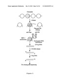 Inhibitors of PARP Activity and Uses Thereof diagram and image