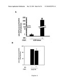 Inhibitors of PARP Activity and Uses Thereof diagram and image