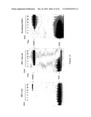 Inhibitors of PARP Activity and Uses Thereof diagram and image