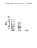 Inhibitors of PARP Activity and Uses Thereof diagram and image