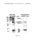 Inhibitors of PARP Activity and Uses Thereof diagram and image