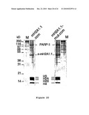 Inhibitors of PARP Activity and Uses Thereof diagram and image