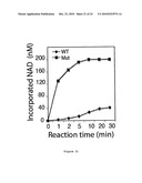 Inhibitors of PARP Activity and Uses Thereof diagram and image