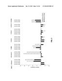 Improvements to analogous compounds of 6-thioguanosine triphosphate, their use in medical fields and processes for their preparation diagram and image