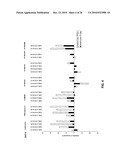 Improvements to analogous compounds of 6-thioguanosine triphosphate, their use in medical fields and processes for their preparation diagram and image