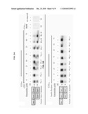 USES OF PENTAMIDINE AND RELATED COMPOUNDS diagram and image