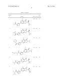 METABOTROPIC GLUTAMATE RECEPTOR ISOXAZOLE LIGANDS AND THEIR USE AS POTENTIATORS diagram and image