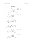 METABOTROPIC GLUTAMATE RECEPTOR ISOXAZOLE LIGANDS AND THEIR USE AS POTENTIATORS diagram and image