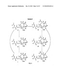 9, 10-Alpha, Alpha-OH-Taxane Analogs and Methods for Production Thereof diagram and image