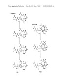 9, 10-Alpha, Alpha-OH-Taxane Analogs and Methods for Production Thereof diagram and image