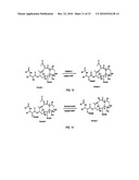 9, 10-Alpha, Alpha-OH-Taxane Analogs and Methods for Production Thereof diagram and image