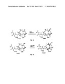 9, 10-Alpha, Alpha-OH-Taxane Analogs and Methods for Production Thereof diagram and image