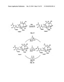 9, 10-Alpha, Alpha-OH-Taxane Analogs and Methods for Production Thereof diagram and image