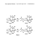 9, 10-Alpha, Alpha-OH-Taxane Analogs and Methods for Production Thereof diagram and image