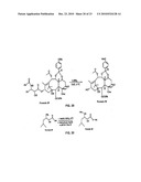 9, 10-Alpha, Alpha-OH-Taxane Analogs and Methods for Production Thereof diagram and image