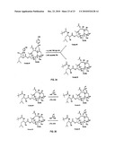 9, 10-Alpha, Alpha-OH-Taxane Analogs and Methods for Production Thereof diagram and image