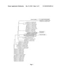 Process for the Production of Gamma-Aminobutyric Acid diagram and image