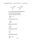 Photocleavable Protecting Groups diagram and image