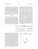 OLIGOMERIC COMPOUNDS COMPRISING 4 -THIONUCLEOSIDES FOR USE IN GENE MODULATION diagram and image