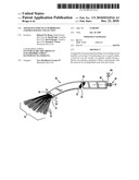 Apparatus for Vacuum Bridging and/or Exudate Collection diagram and image