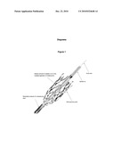 CONTROLLED EXPANSION BALLOON CATHETER diagram and image