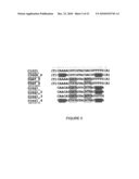 MEGANUCLEASE VARIANTS CLEAVING A DNA TARGET SEQUENCE FROM THE MOUSE ROSA26 LOCUS AND USES THEREOF diagram and image