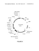 MEGANUCLEASE VARIANTS CLEAVING A DNA TARGET SEQUENCE FROM THE MOUSE ROSA26 LOCUS AND USES THEREOF diagram and image