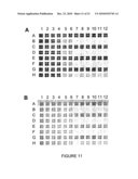 MEGANUCLEASE VARIANTS CLEAVING A DNA TARGET SEQUENCE FROM THE MOUSE ROSA26 LOCUS AND USES THEREOF diagram and image