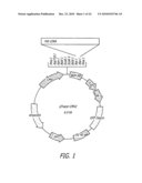 Methods and sequences to suppress primate huntington gene expression in vivo diagram and image