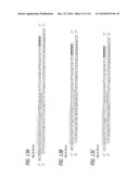 Methods and sequences to suppress primate huntington gene expression in vivo diagram and image