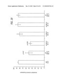 Methods and sequences to suppress primate huntington gene expression in vivo diagram and image