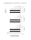 Methods and sequences to suppress primate huntington gene expression in vivo diagram and image