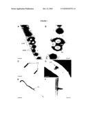 Cytokinin Oxidase Promoter from Maize diagram and image