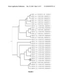 Plants Having Increased Yield-Related Traits and a Method For Making The Same diagram and image