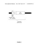 Plants Having Increased Yield-Related Traits and a Method For Making The Same diagram and image