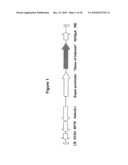 Protein Kinase Stress-Related Proteins and Methods of Use in Plants diagram and image