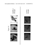 Protein Kinase Stress-Related Proteins and Methods of Use in Plants diagram and image