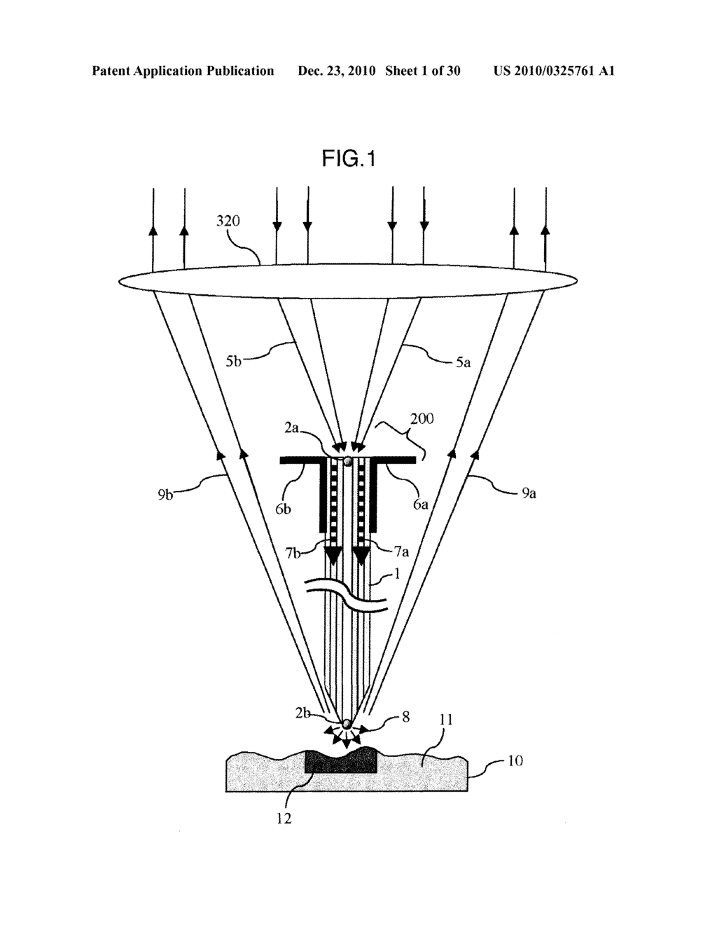 Scanning Probe Microscope and Method of Observing Sample Using the Same - diagram, schematic, and image 02