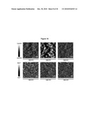 MOLECULAR SEMICONDUCTORS CONTAINING DIKETOPYRROLOPYRROLE AND DITHIOKETOPYRROLOPYRROLE CHROMOPHORES FOR SMALL MOLECULE OR VAPOR PROCESSED SOLAR CELLS diagram and image