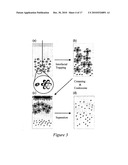 SEPARATION OF CARBON NANOTUBE BUNDLES VIA INTERFACIAL TRAPPING diagram and image