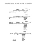  SEAT CONDITIONING MODULE AND METHOD diagram and image