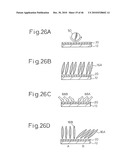 ALIGNMENT TREATMENT OF LIQUID CRYSTAL DISPLAY DEVICE diagram and image