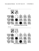 POLARIZATION STATE MEASUREMENT APPARATUS AND EXPOSURE APPARATUS diagram and image